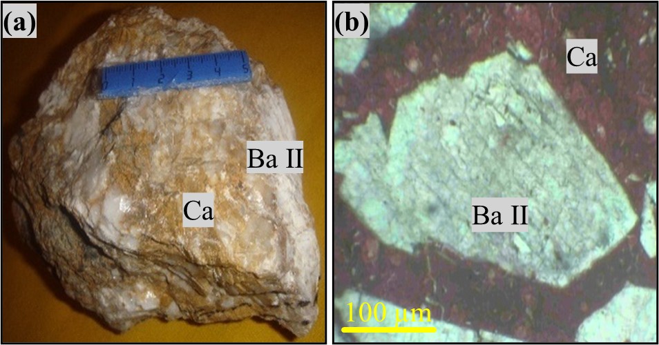 Figure 4. (a) Iron calcite (Ca) associated with fibro- radiated baryte (Ba II) from Vein 16 ; (b) Alizarin staining technique for calcite (Ca) cementing the microbreccia elements of baryte (Ba II).