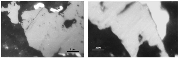 Figure 3. Jacobsite grain (large, grey) with nickelskutterudite (two, small, white, rounded, upper part), gersdorffite (white grey, top left corner, and small grains, bottom right corner), RL, NII, oil immersion (left); Jacobsite (large, light grey), rammelsbergite (white, top right), RL, NII, oil immersion (right).