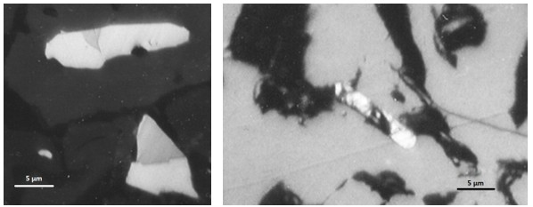 Figure 4. Rammelsbergite (light grey) and gersdorffite (grey) inside tephroite (dark grey) (left); Gold (small bright white prism) grown on the cracks of jacobsite (large, white grey) (right); RL, NII, oil immersion.