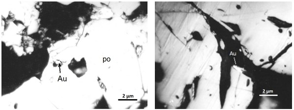 Figure 5. Pyrrhotite (po, large), galenobismuthite (small, white, left and top, around pyrrhotite), gold (Au, white bright) (left); Gold (small bright white) on the crack of magnetite (large, white); RL, NII, oil immersion.