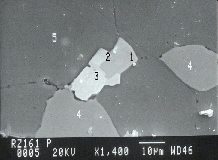 Figure 7. Backscattered electron image of pyrrhotite (1, grey), arsenopyrite (2, small white grey around pyrrhotite), l&ouml;llingite (3, white), and magnetite (4, grey) in manganoan fayalite (dark grey).