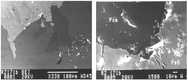 Figure 8. Backscattered electron image of vihorlatite (?) (white, small) on the cracks of garnet (dark grey) and pyrrhotite (light grey, twinned) (left); backscattered electron image of hedleyite (white bright) grown inside clino-suenoite (Pxm) and pyrrhotite (FeS) (right).