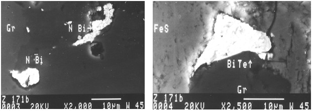 Figure 9. Backscattered electron image of native bismuth (NBi, bright white) inside manganoan fayalite (dark grey) and on the border manganoan fayalite/spessartine (Gr, dark grey) (left); Backscattered electron image of tellurobismuthite of BiTe (bright white) at the border pyrrhotite (FeS, light grey)/spessartine (Gr, dark grey).