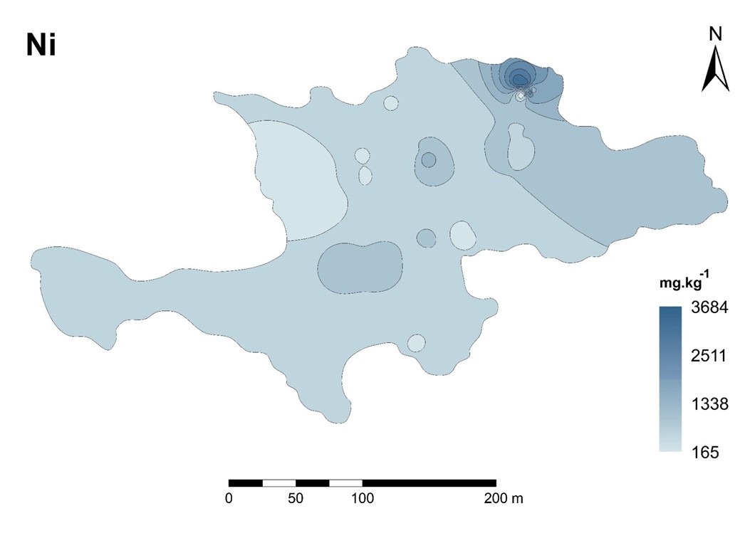 Figure 12. Distribution of Ni at the Libiola dump-field.