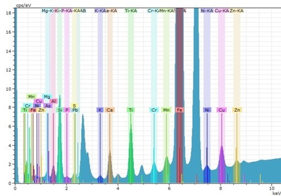 Figure 5. Representative spectrum of Energy-dispersive micro X-ray fluorescence spectrometry (ED-XRF) analysis with lines corresponding to measured elements.