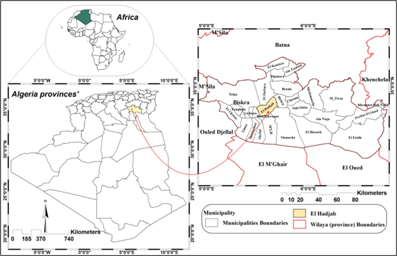 Figure 2. Area Study.