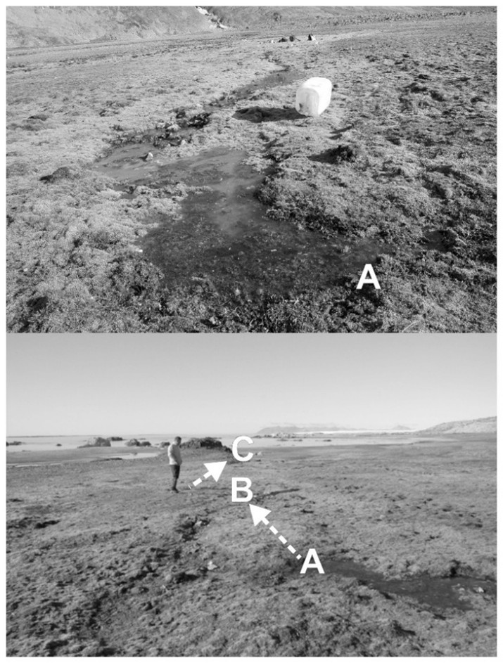 Figure 6. Location of tracer measurements.