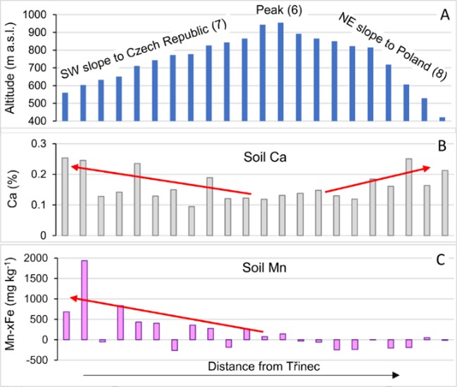 Figure. 9 Altitudinal transect through the Velk&aacute; Čantoryje Mountain (A), soil Ca concentration (B) and corrected soil Mn concentrations (C). Red arrows in panels B and C indicate downslope wash of Ca and Mn ions.