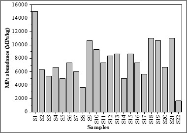 Figure 2.  Abundance of microplastics across different sampling in the sediments of Macta marshes.