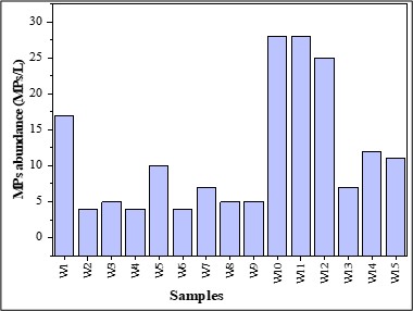 Figure 8.  Abundance of microplastics across different sampling sites in the surface water of Macta marshes.