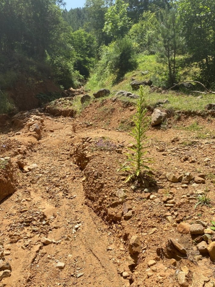Figure 13. Field evidence of sediment accumulation, channel incision, and active erosion&ndash;mass movement processes in the Crnička Reka catchment.