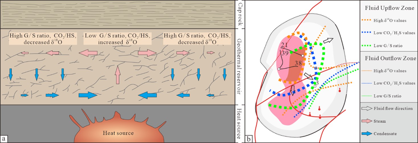 Figure 14. Geothermal fluid evolution model and spatial zonation map of geochemical indicators in the Darajat geothermal field. (a) Conceptual profile of the geothermal system, illustrating the steam upwelling and condensate reflux processes driven by the deep heat source, and the resulting variations in the G/S ratio, CO2/H2S ratio, and &delta;18O values (modified from Hadi, 2001); (b) Planar zonation map of geochemical indicators in fluid upflow and outflow zones, showing spatial differences in isotopic and gas components across different regions (modified from Intani et al., 2020).