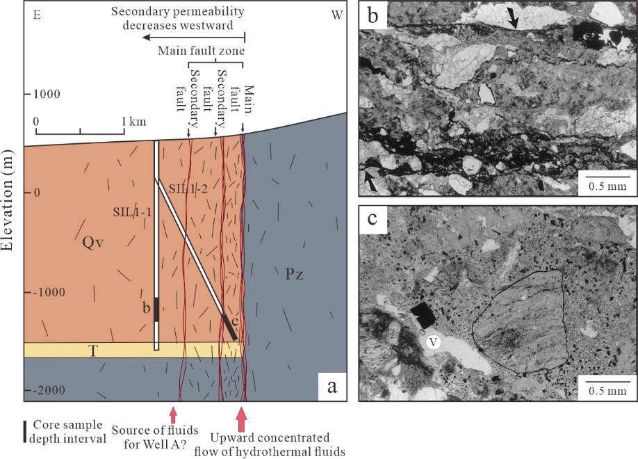 Figure 6. Model of channeled fluid migration within the fault zone and micro-petrological characteristics. (a) East-west conceptual profile of the SIL1-1 and SIL1-2 well area. The profile illustrates hydrothermal fluids migrating upward in a concentrated manner along the principal fault zone, with fracture development intensity and secondary permeability gradually decreasing with distance from the principal fault (westward) (Gunderson et al., 2000); (b) Thin section photograph of the shear zone in well SIL1-1. Fractured phenocrysts and hematite margins indicated by arrows are visible, with fractures and pores filled by hematite and calcite(Moore et al., 2001); (c) Thin section photograph of a brecciated sample from well SIL1-2. It shows early cement fragments with laminated characteristics (outlined by solid lines) enveloped by later, slightly coarser-grained cements, with pyrite crystals growing into the pores (V) (Moore et al., 2001).