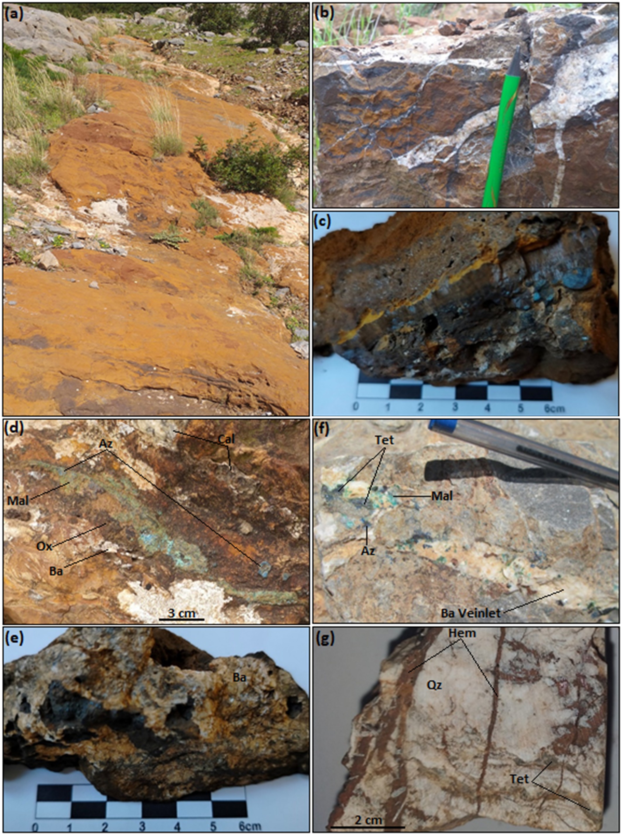 Figure 4. Morphology and textures of the iron-bearing mineralization at Kef Boulehmame: (a) Mineralized  body in a sill-bedded formation ; (b) Stockwork veined iron mineralization ; (c) Collomorphic aspect of the hematite (Hem) &ndash; goethite (Goet) &ndash; ankerite (Ank) association; (d) Mineral association of iron oxides (Ox) &ndash; malachite (Mal) &ndash; azurite (Az) &ndash; calcite (Cal) &ndash; barite (Ba); (e) Fine sheaf-like crystals of barite (Ba) associated with iron oxides and hydroxides; (f) Tetrahedrite (Tet) &ndash; malachite (Mal) &ndash; azurite (Az) disseminated in a barite (Ba) veinlet; (g) Stockwork microfractures filled with hematite (Hem) and tetrahedrite (Tet).
