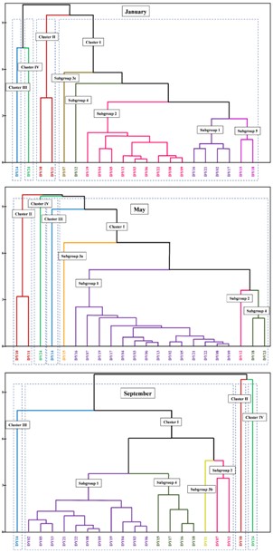 Figure 5. Dendrogram from hierarchical cluster analysis of groundwater samples for three sampling periods.