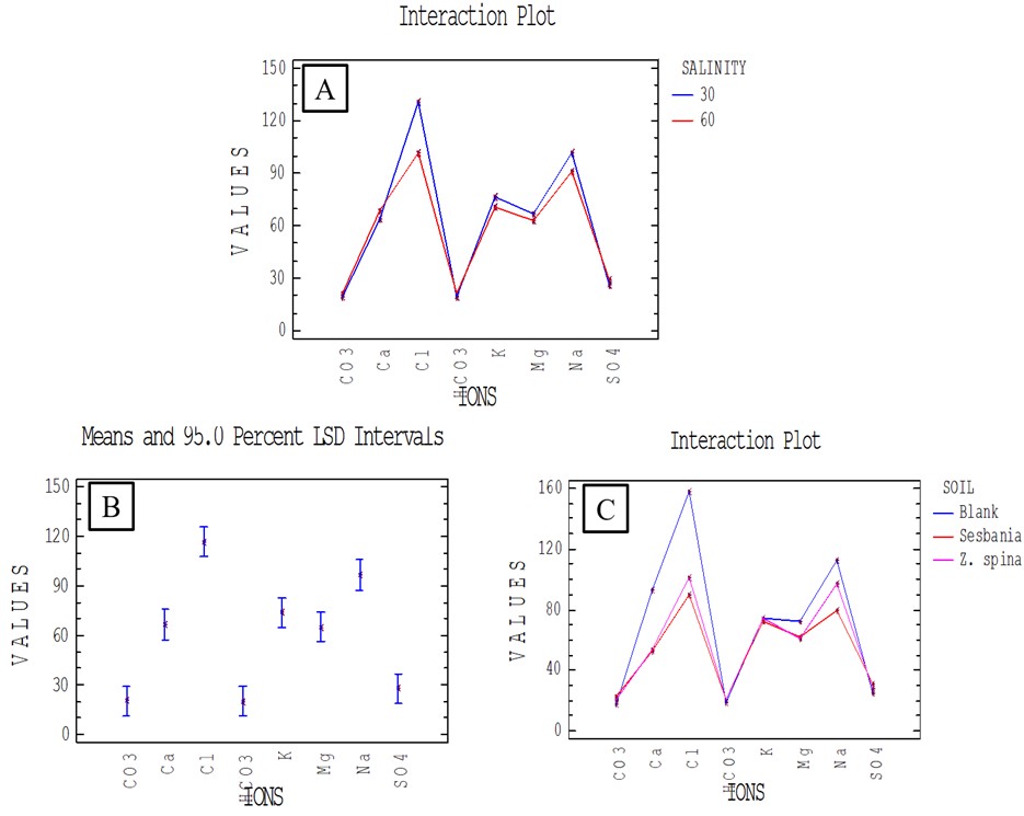 Figure 3. A post-cultivation statistical comparison of the average concentrations of elements by plant type.